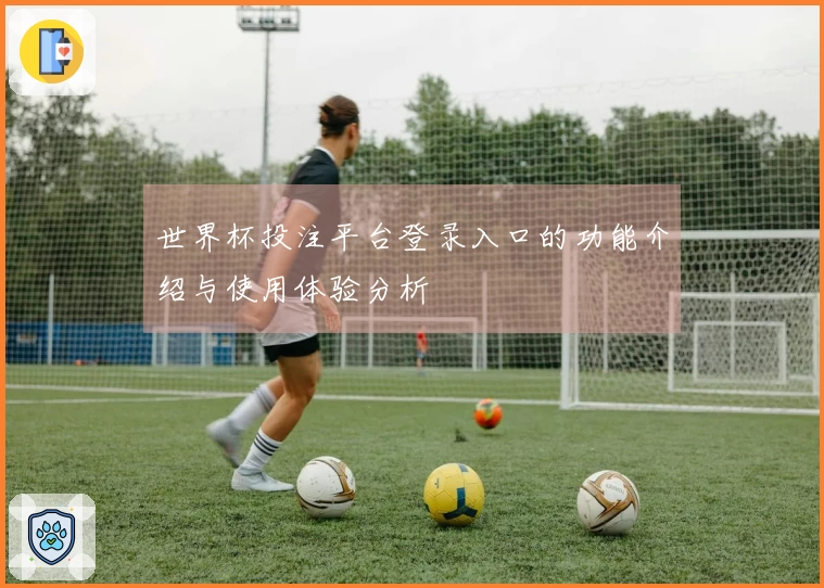 世界杯投注平台登录入口的功能介绍与使用体验分析