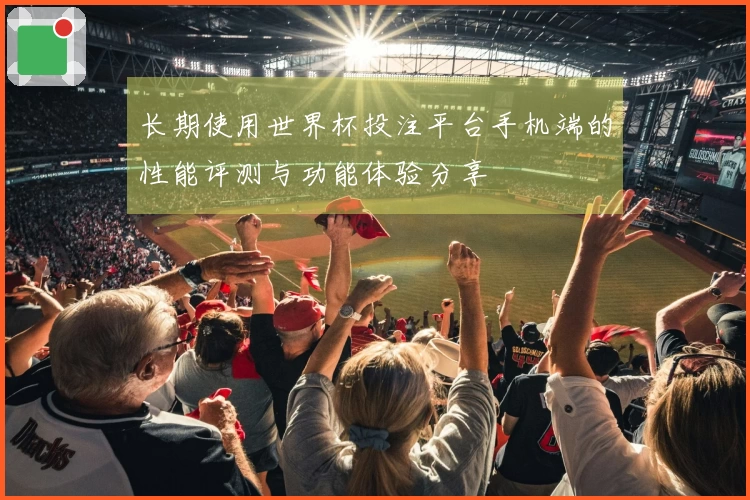 长期使用世界杯投注平台手机端的性能评测与功能体验分享