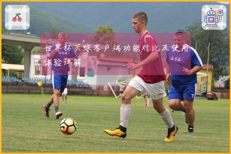 世界杯买球客户端功能对比及使用体验详解