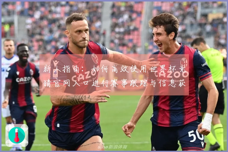 新人指南：如何高效使用世界杯竞猜官网入口进行赛事跟踪与信息获取