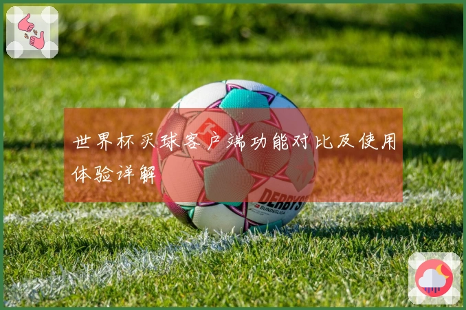 世界杯买球客户端功能对比及使用体验详解