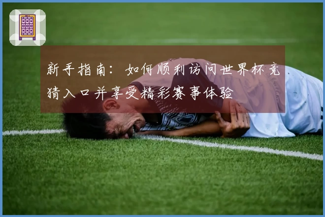 新手指南：如何顺利访问世界杯竞猜入口并享受精彩赛事体验