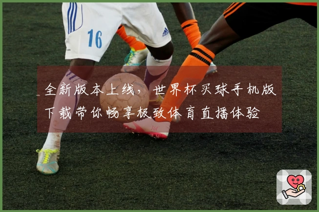 全新版本上线，世界杯买球手机版下载带你畅享极致体育直播体验