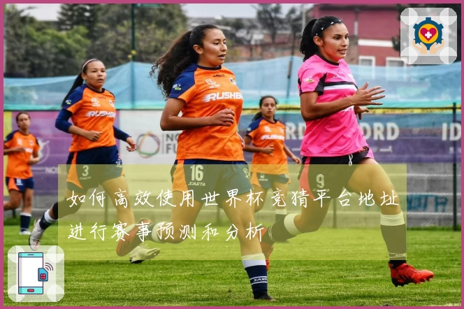 如何高效使用世界杯竞猜平台地址进行赛事预测和分析